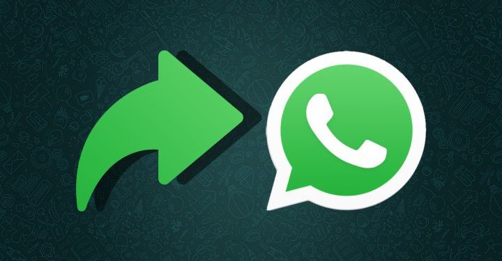 WhastApp: cómo reenviar un mensaje sin que aparezca el 'Reenviado'