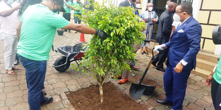 MEGI, una filial de ExxonMobil lanza el proyecto de plantación de árboles en las calles de Malabo