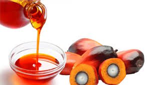 El aceite de palma hace que el cáncer se propague más agresivamente