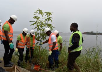 OCEV inicia un proyecto de plantación de árboles en las playas de Malabo