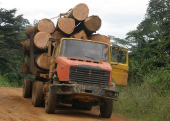 Camión transportando madera en el Parque Nacional de Monte Alen en Guinea Ecuatorial.
Imagen: Guineainfomarket