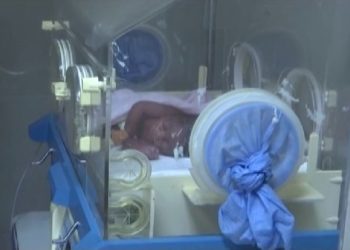 Bebé recién nacida ya en la incubadora en el hospital de Malabo