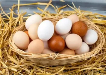 Foto: steptohealth.com