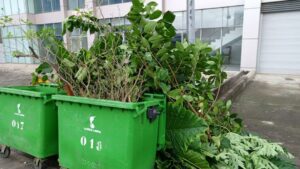 Foto: Guinea Limpia // Uso incorrecto de los contenedores por la ciudadanía